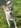 Profilbild von Creator 1