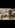 Foto del creator 2