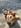 Profilbild von Creator 2