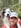 Profilbild von Creator 2
