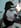 Profilbild von Creator 1