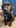 クリエイター1のプロフィール写真