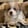 Profilbild von Creator 3