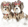 Foto del creator 1
