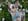 Profilbild von Creator 4