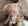 Profilbild von Creator 4
