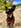 Profilbild von Creator 1