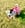 Profilbild von Creator 2