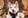 クリエイター1のプロフィール写真