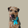 Profilbild von Creator 1