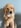 Profilbild von Creator 2