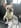 Profilbild von Creator 1