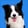 Profilbild von Creator 1