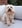 Profilbild von Creator 3