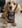 Profilbild von Creator 2