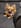 クリエイター4のプロフィール写真