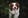 Profilbild von Creator 1