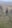 Profilbild von Creator 1