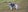 クリエイター1のプロフィール写真