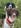 Profilbild von Creator 1