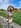 Profilbild von Creator 2