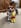 クリエイター1のプロフィール写真