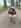 クリエイター2のプロフィール写真