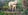 Profilbild von Creator 1