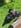 Profilbild von Creator 1