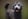 Profilbild von Creator 2