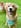 Profilbild von Creator 4