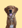 Profilbild von Creator 1