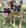 Profilbild von Creator 2