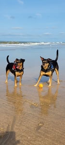 Castricum creator 1