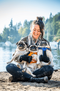 British Columbia creator 3