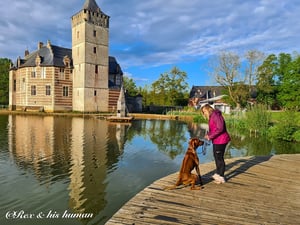 Holsbeek creator 1