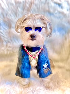 Oakville creator 1
