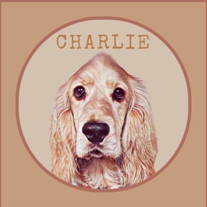 Banbury creator 2