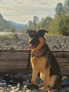 Spanaway creator 1