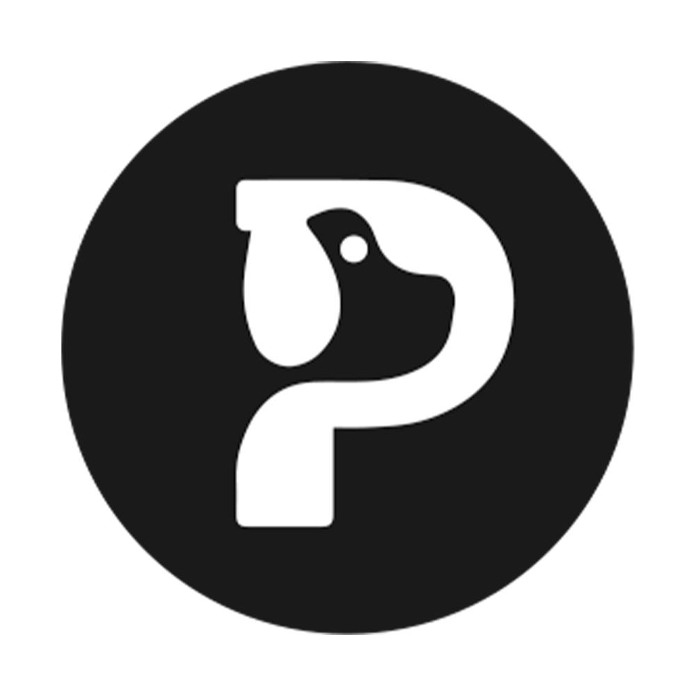 palzandco.com