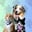 shinobipets