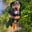 mol_lythedoberdor