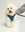 beauthebichon17