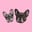 littlefrenchiesisters