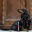 artemisia-dachshund