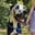 finnthebigman-1