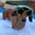 wendellstuart_theweenie