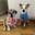 billy_and_hachi