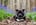 Peggy