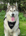 Meko